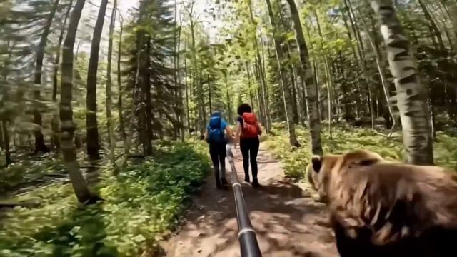 ВЛОГ СНЕЖНОГО ЧЕЛОВЕКА В ЛЕСУ 🌳 ВОЗМОЖНОСТИ НЕЙРОСЕТИ VEO 3