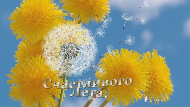 Счастливого ЛЕТА *