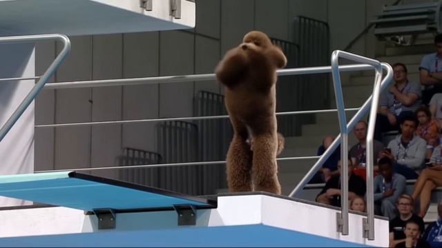 ПРЫЖКИ В ВОДУ. ВОЗМОЖНОСТИ НЕЙРОСЕТИ VEO 3.