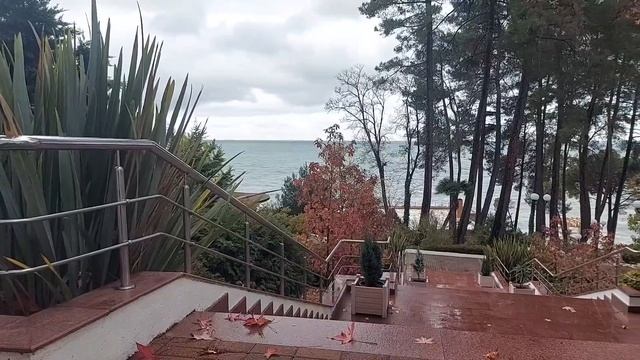 Шум ветра, моря и дождя. Сочи Санаторий Беларусь.
