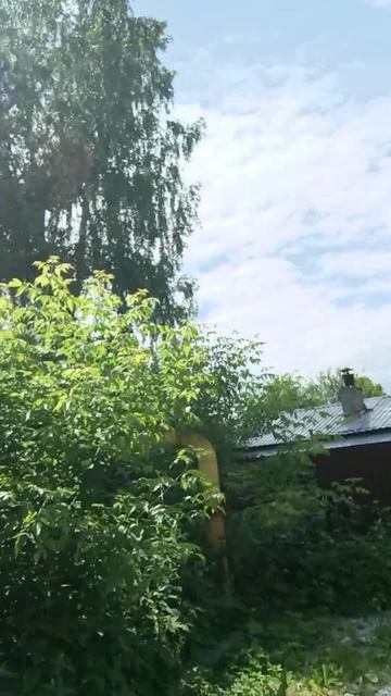 Холодное лето 2025