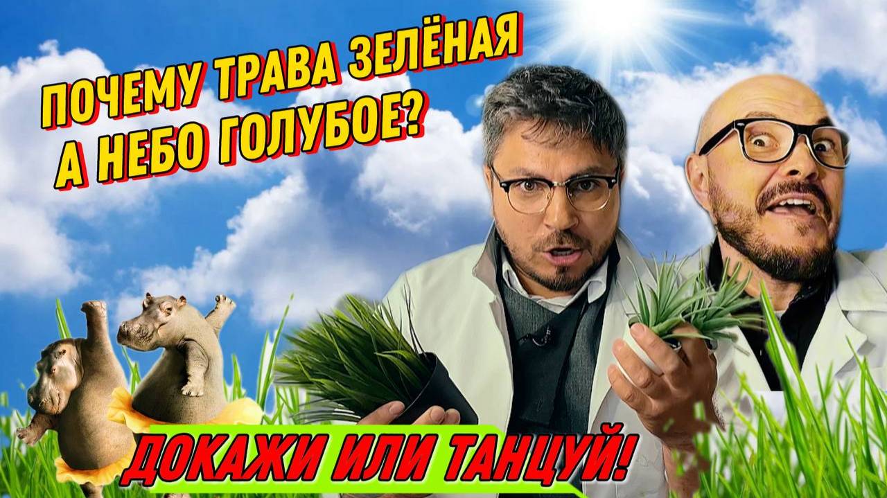 Почему трава зелёная, а небо голубое? Докажи или танцуй!