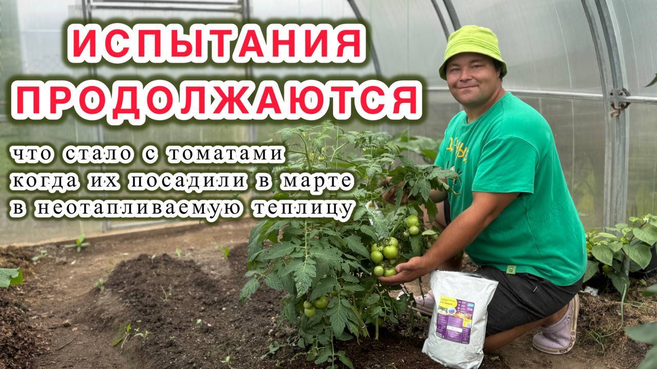 Никто в ЭТО не верил, а у меня всё получилось