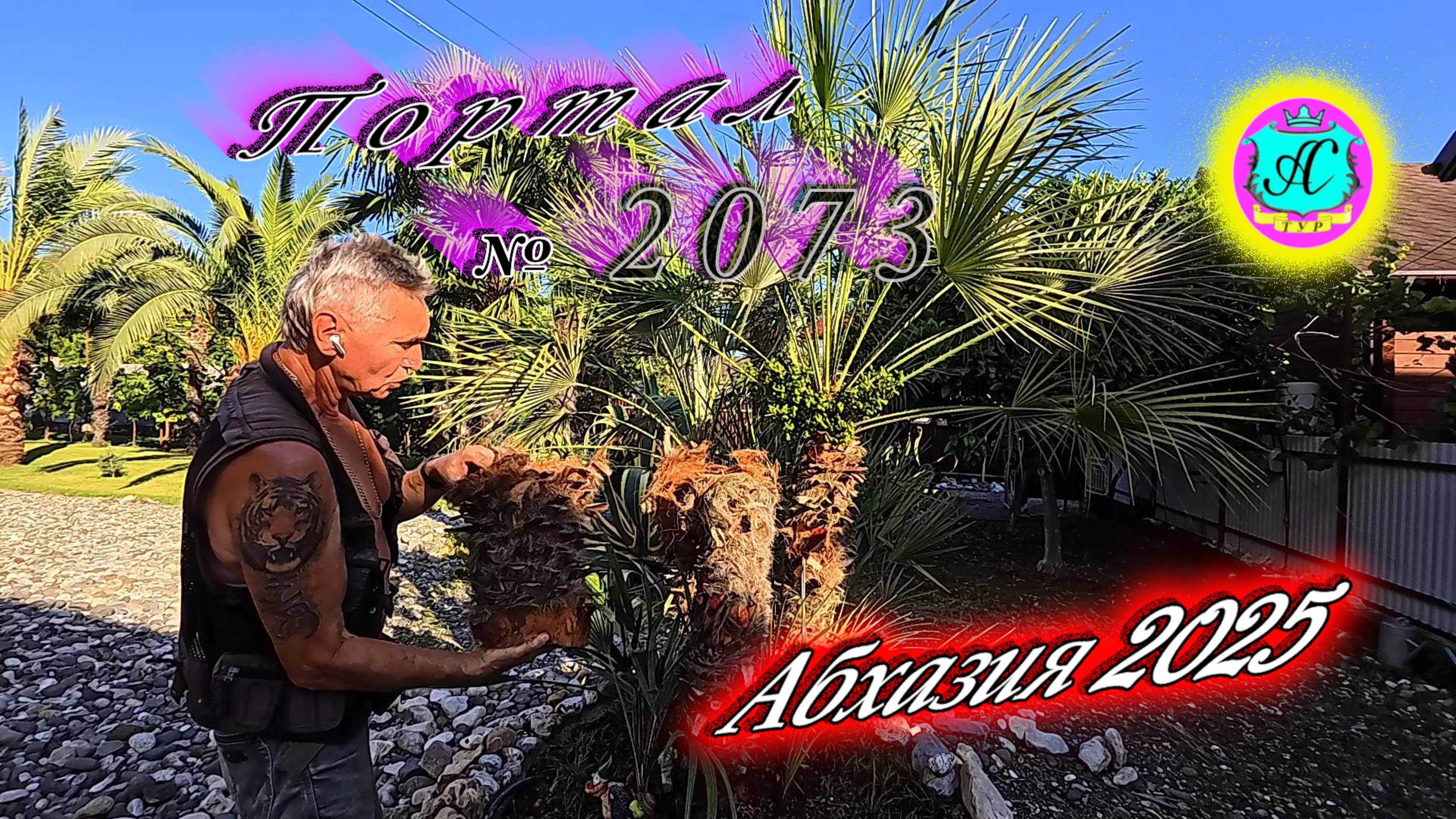 #Абхазия2025🌴 25 июня. Выпуск №2073🌡вчера +27°🌡ночью  +16°🐬море +23,6°❗