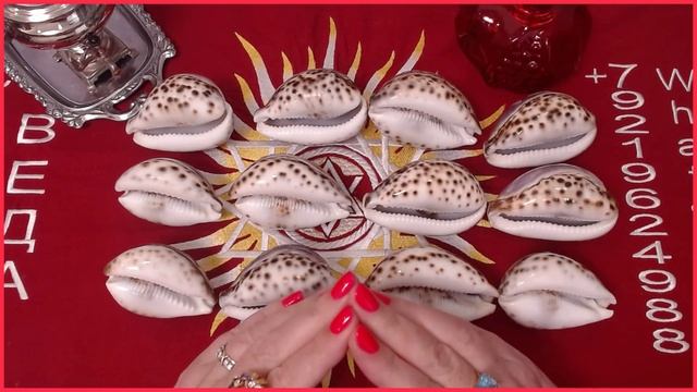 Исполнение ЖЕЛАНИЯ #онлайн #таро #гороскоп Светлана ВЕДА