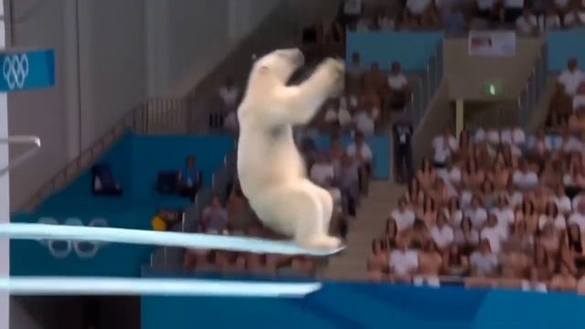 ПРЫЖКИ В ВОДУ. ВОЗМОЖНОСТИ НЕЙРОСЕТИ VEO 3