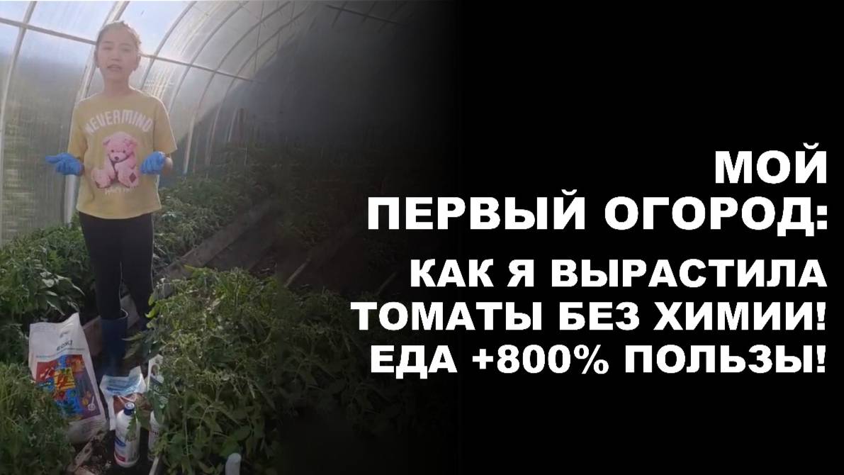 Детские советы для больших помидоров! Попробуйте сами. Еда+800% пользы