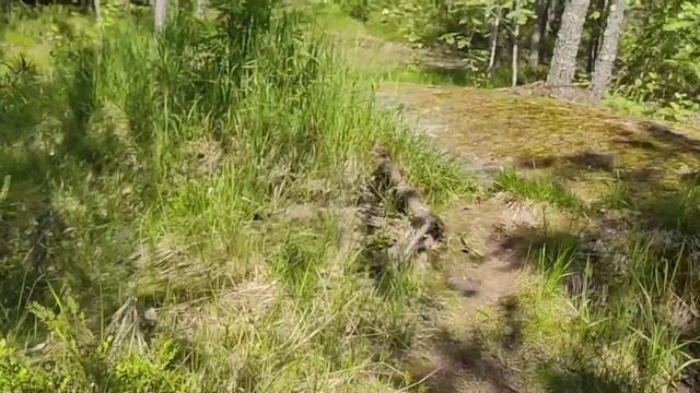 Подъем на гору Филина