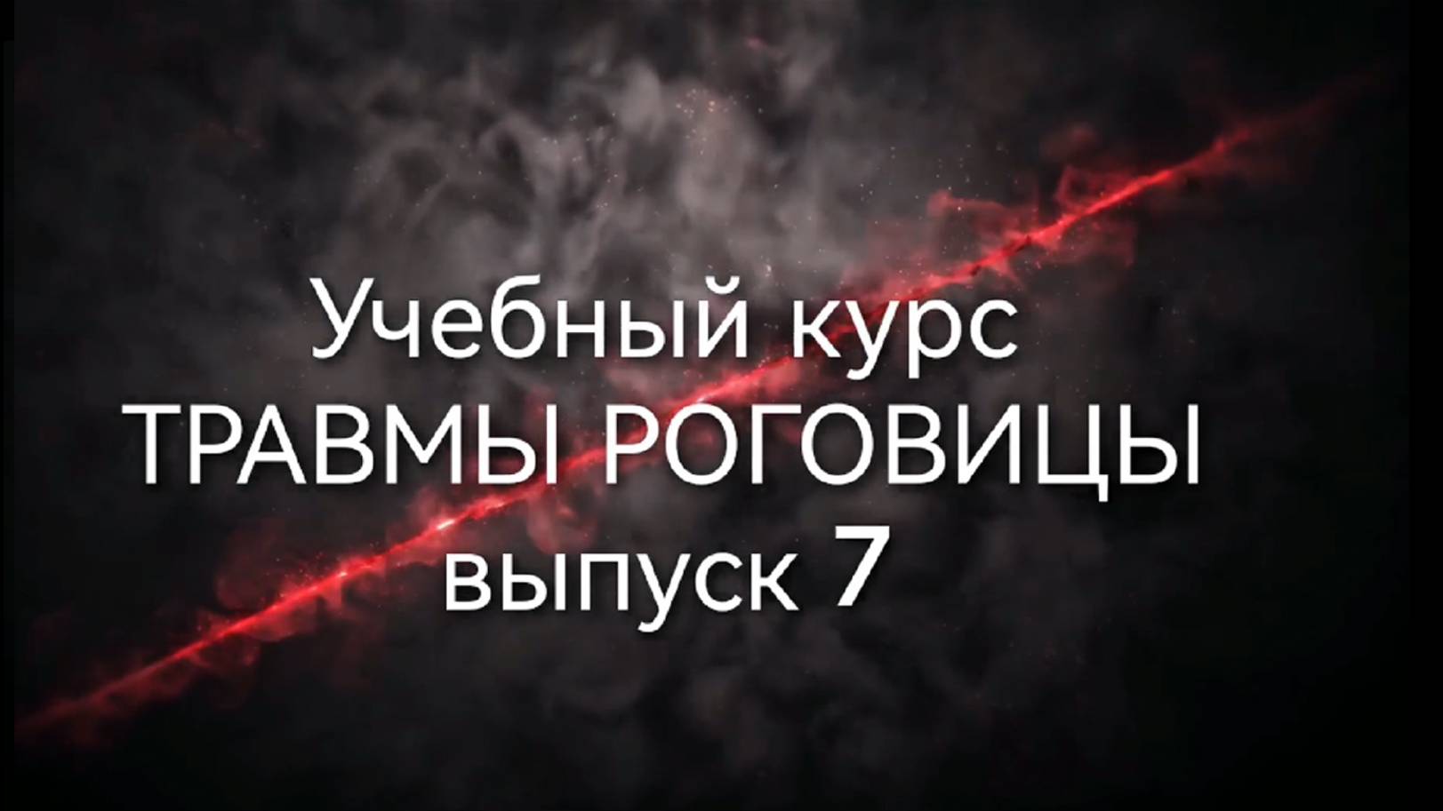 Другая офтальмология. Выпуск 7. Учебный курс: Травмы роговицы