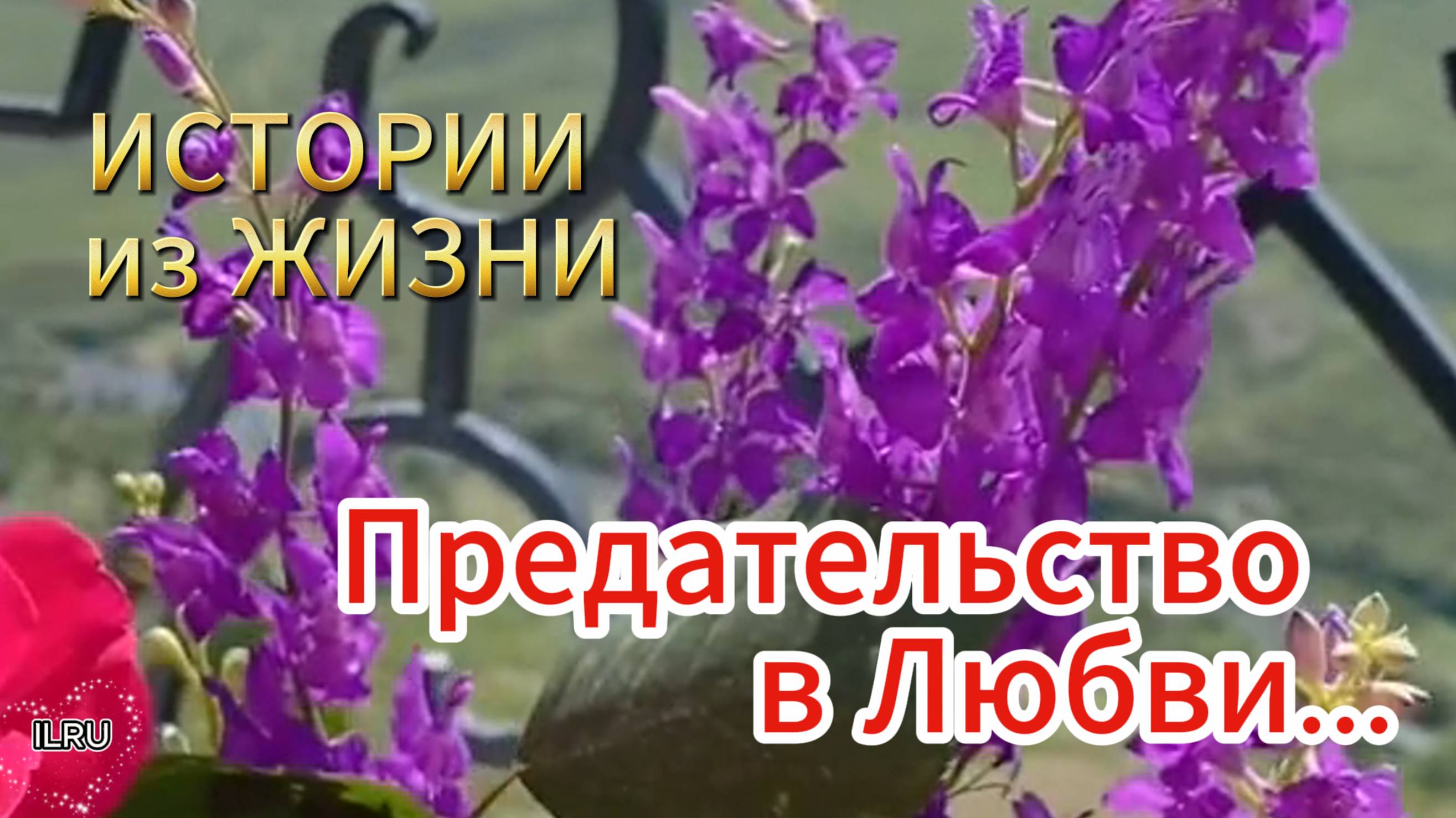 Истории любви из жизни - Предательство в любви... НОВИНКА!!!