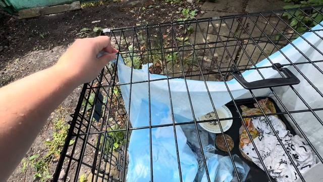 Одна в деревне? Похоже нас теперь…