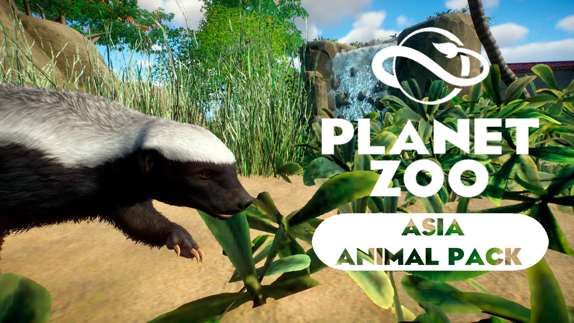 Planet Zoo: Asia Animal Pack - Медоед