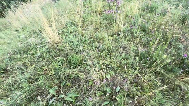 Моя деревенская жизнь, где есть время и отдыху и работе