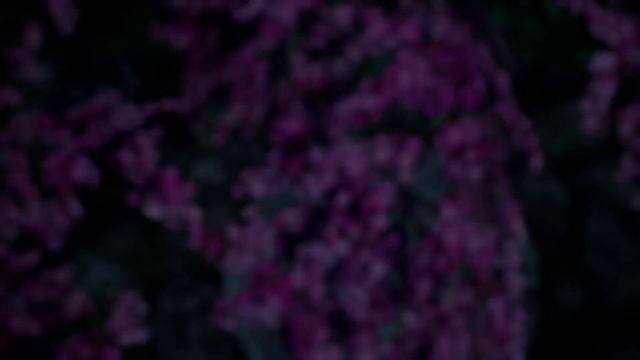 Sword and Fairy 7 - прохождение [16] ПК английские субтитры