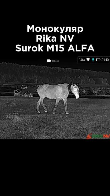 Демонстрация тепловизора, Rika NV Surok M15 Alfa
