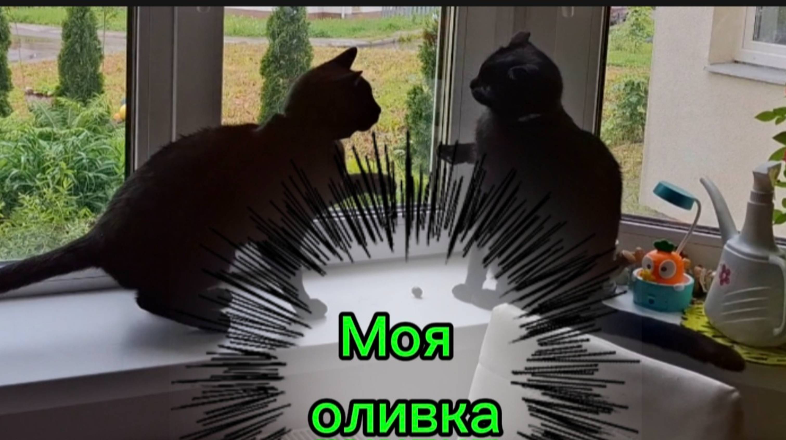 Моя оливка! 🫒