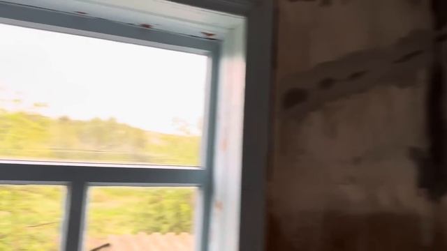 Переехала в деревню, сажаю томаты, преследую сусликов))