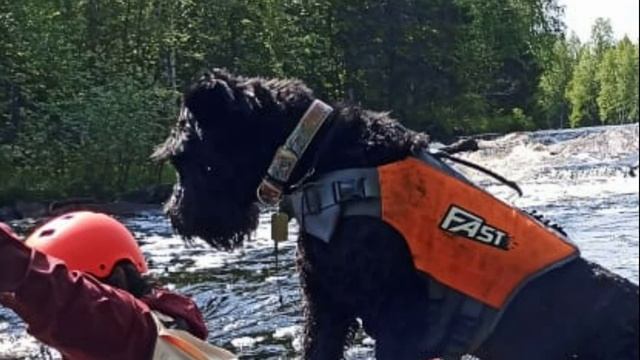 Карелия. Беломорская Шуя. Пороги Московский и Пуло