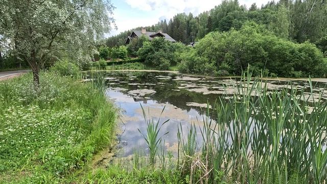 Плес | плес2025 | поездка по россии | куда поехать на выходные