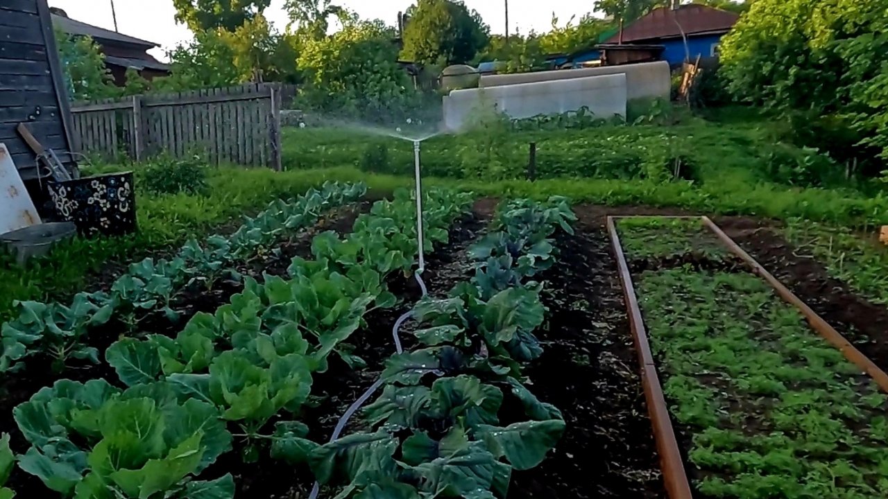 Муж заботится обо мне... Система полива грядок...