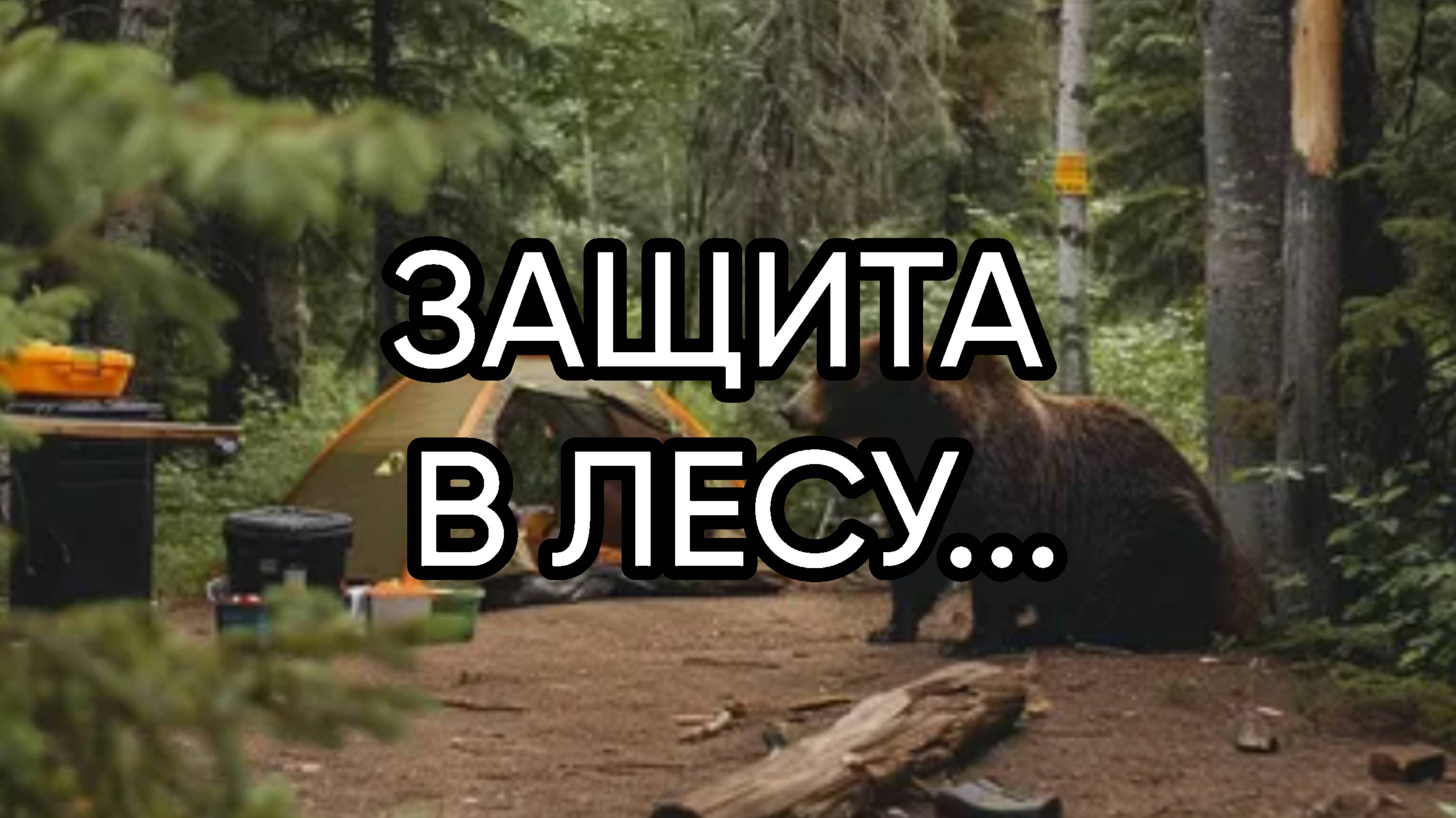 ЗАЩИТА В ЛЕСУ...ДЛЯ ВСЕХ...