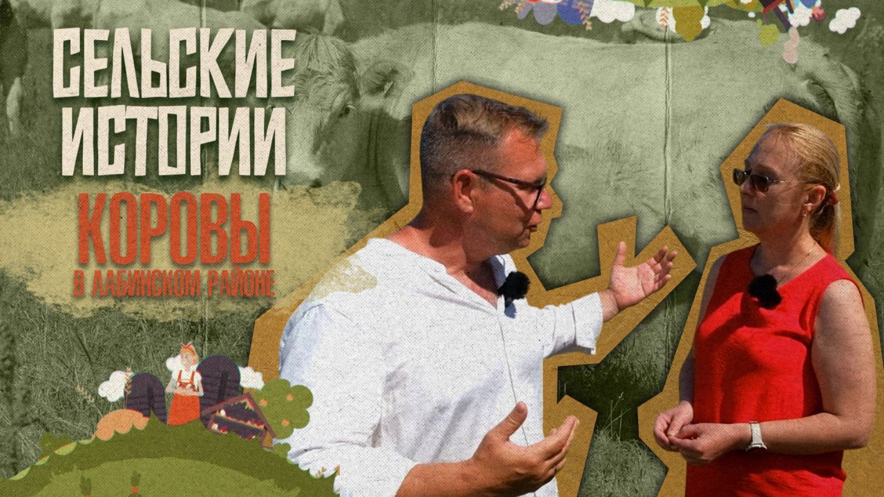 «СЕЛЬСКИЕ ИСТОРИИ» - Коровы в Лабинском районе