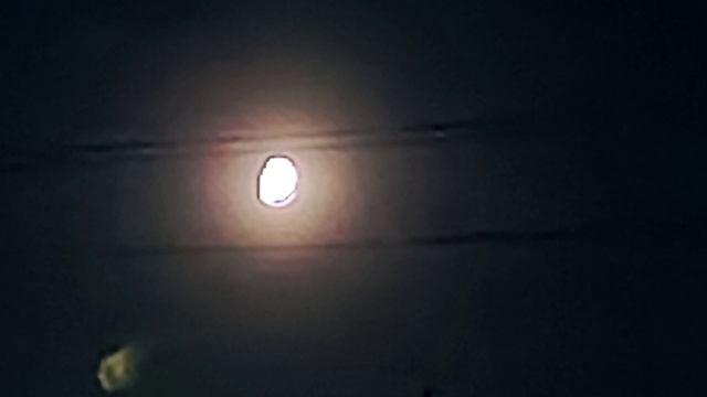 Спокойная ночь 2 (лето-2024)