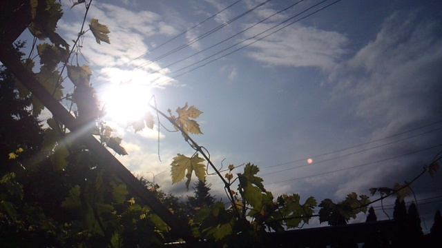 Наблюдение за Солнцем со двора. Выбран не очень хороший способ удержания видеокамеры, но ...