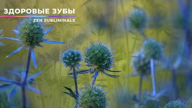 Здоровые и крепкие зубы. Восстановление зубов (Версия 2.0 Relax). Скрытые аффирмации. Саблиминал