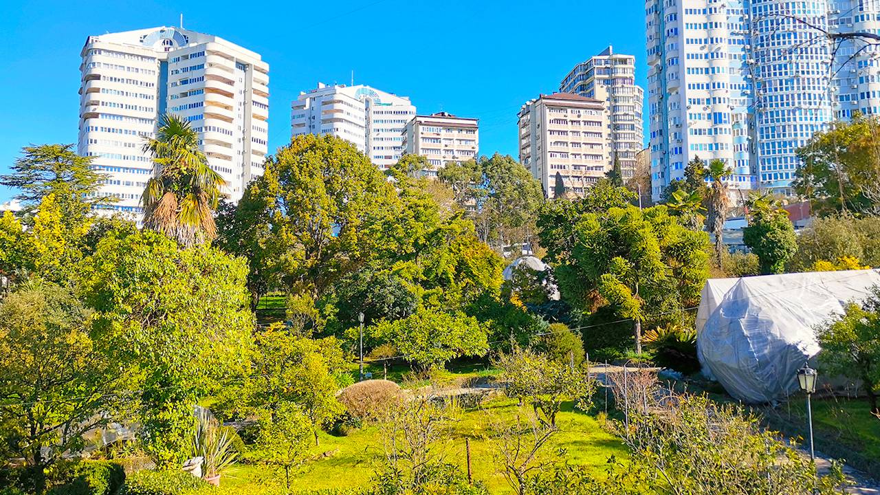 Walking in Sochi | Дерево дружбы и сквер Фестивальный |4K| (February 27, 2024)