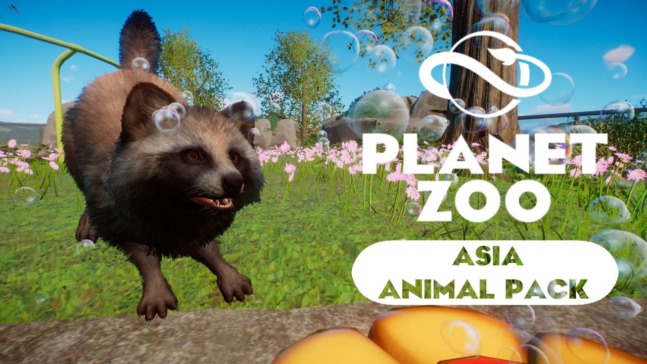 Planet Zoo: Asia Animal Pack - Японская енотовидная собака