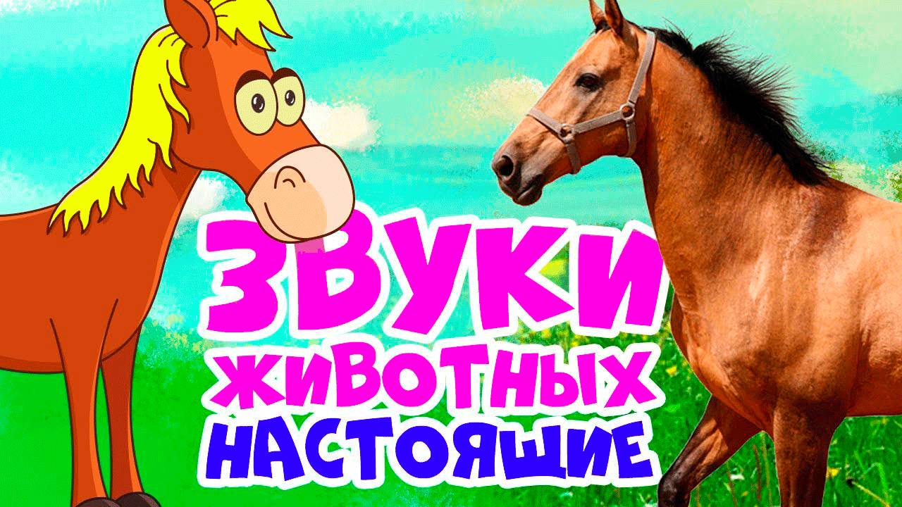 ЗВУКИ ЖИВОТНЫХ для ДЕТЕЙ - Развивающие мультики для детей - Как говорят животные
