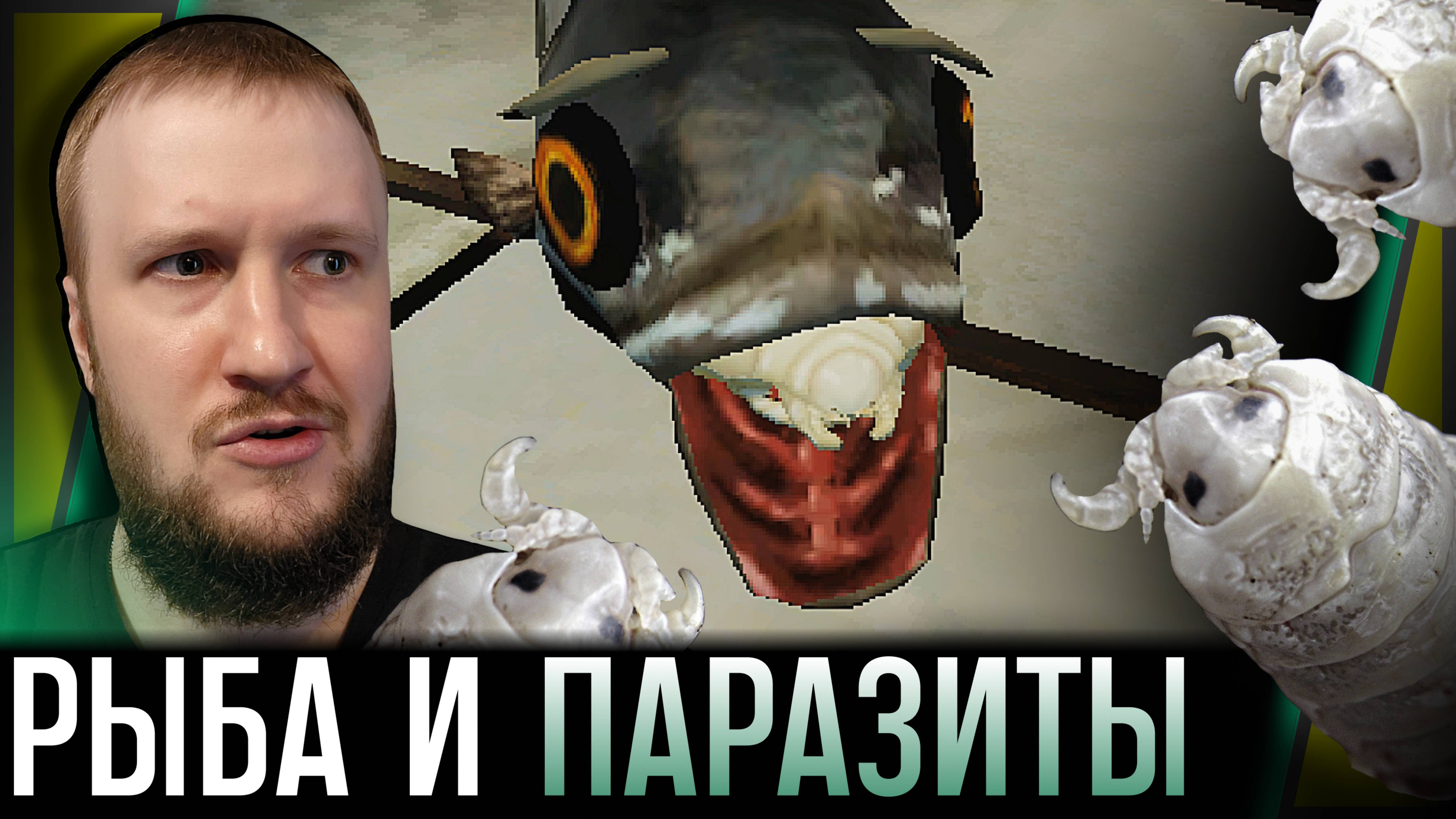 БЕЗУМНЫЙ МИР РЫБ || HOW FISH IS MADE #1