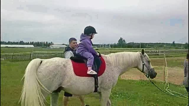 Конно -спортивный клуб "Луна "/ Колтушское сельское поселение в Лен. обл. ...28.06.2025г.