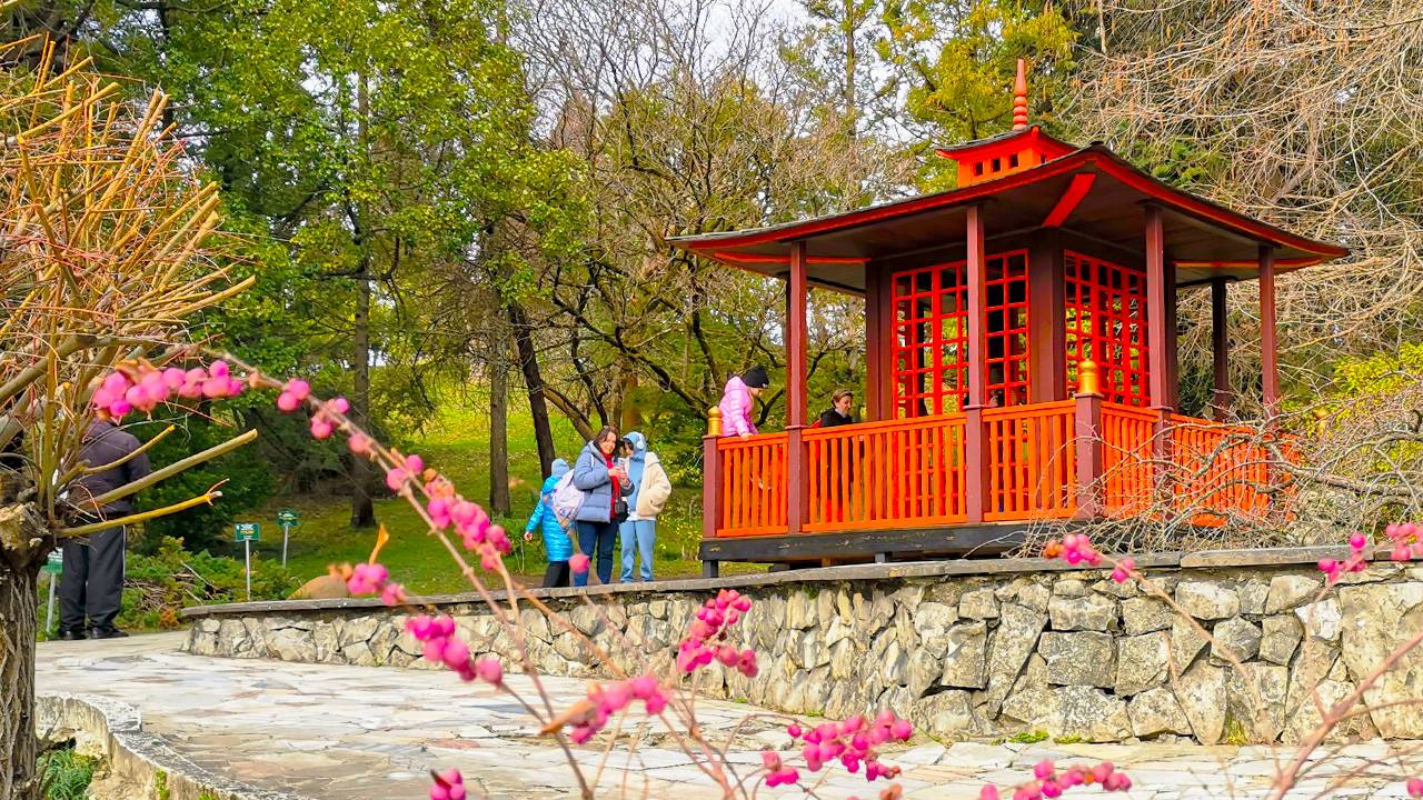 Walking in Sochi | Дендрарий в Большом Сочи в конце зимы |4K| (February 21, 2024)