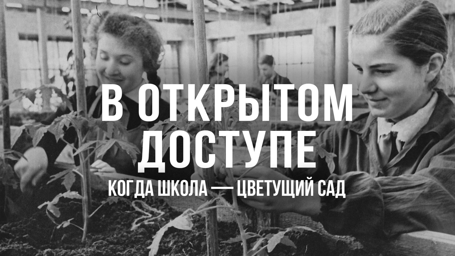 Когда школа — цветущий сад | Архивные кадры. В открытом доступе