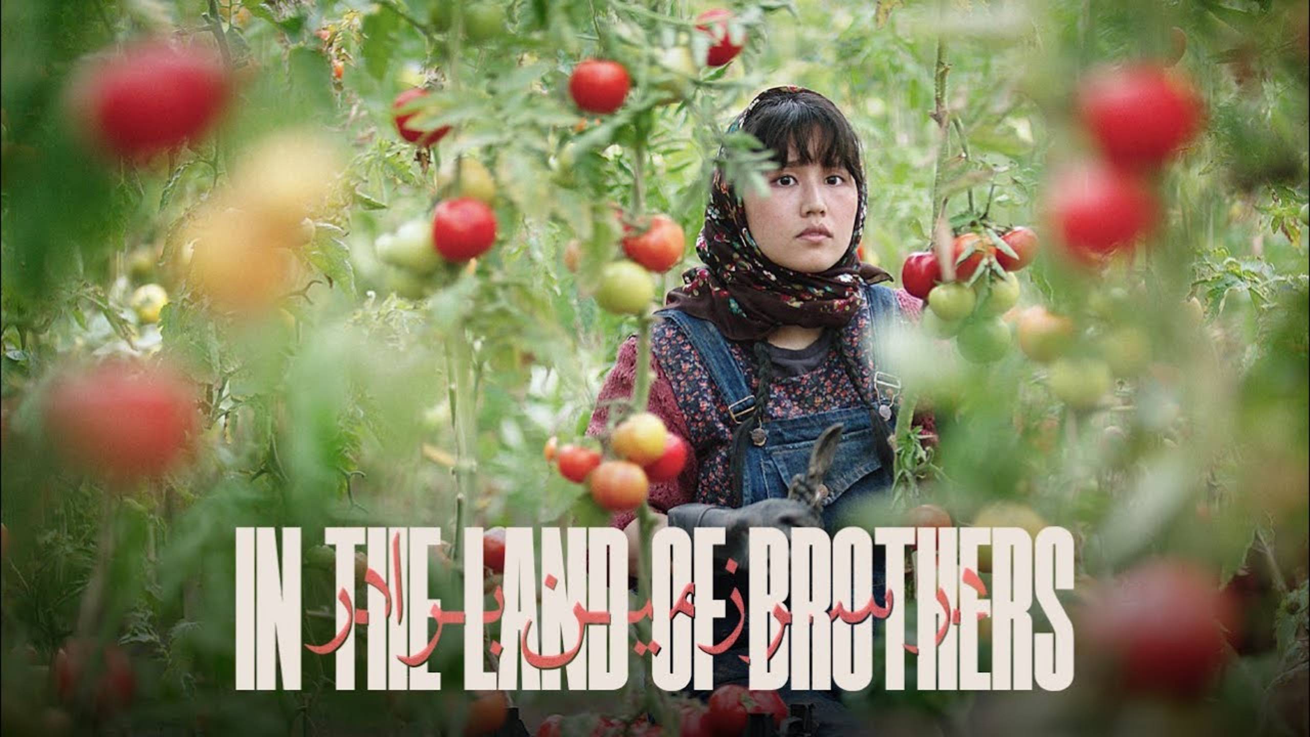 В стране братьев (2024) / Dar sarzamin-e baradar / In the Land of Brothers