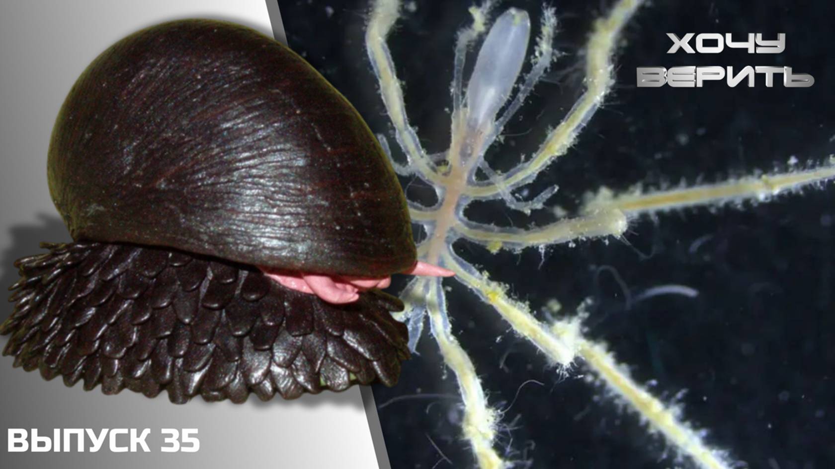 Инопланетяне: железные улитки и метановые морские пауки