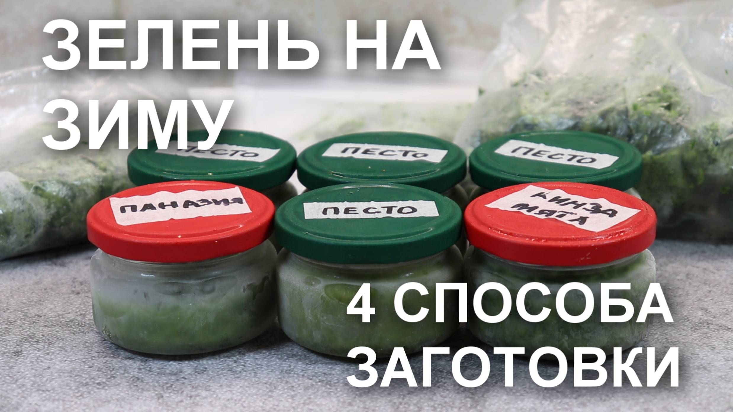 Заготовка зелени на зиму: мои лучшие рецепты как сохранить зелень на зиму