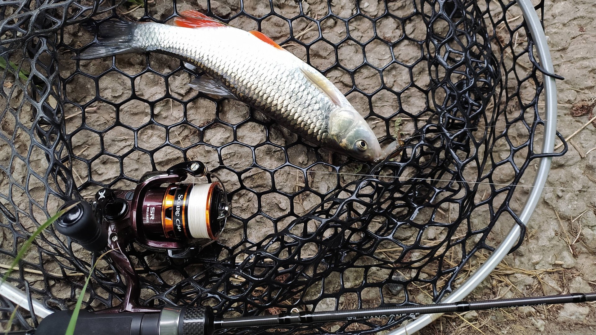 Десна. Микро-воблерки вечером 27 июня 2025 года