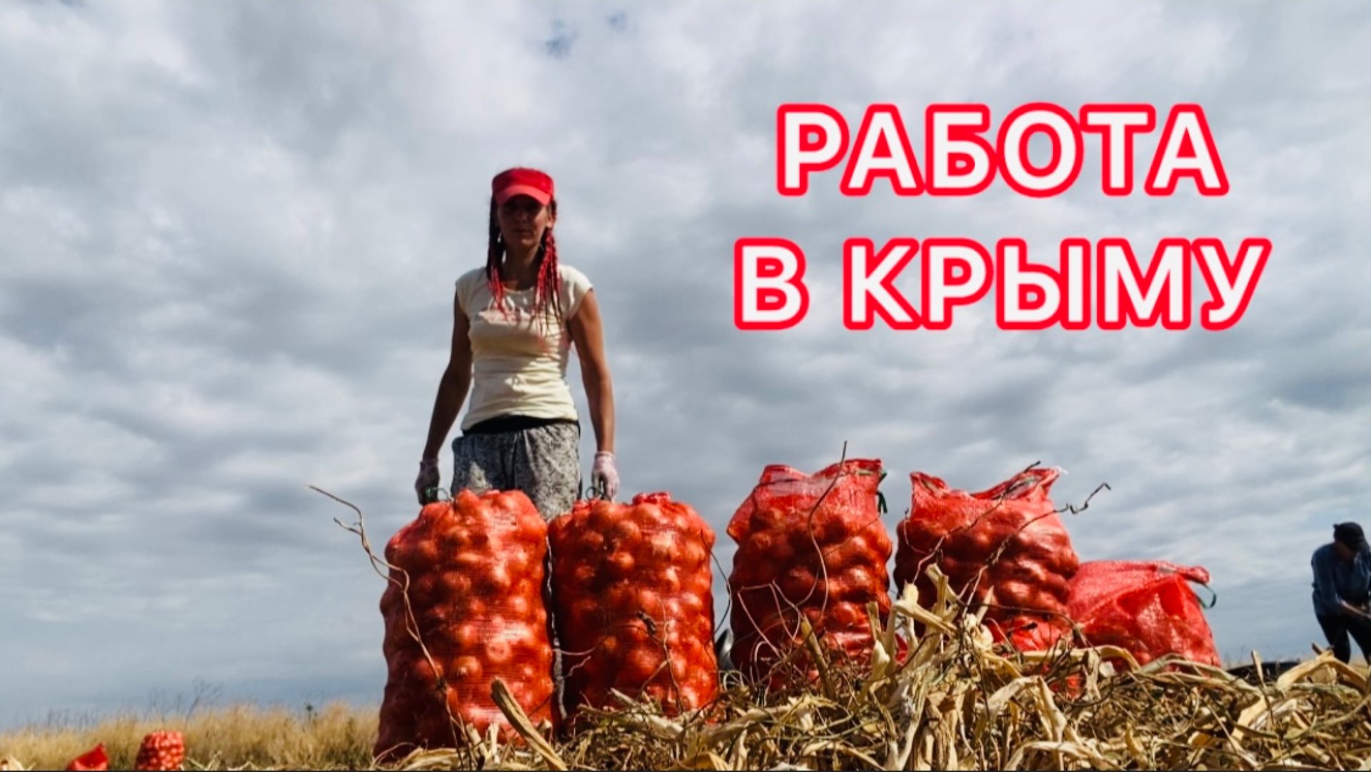 Уборка лука 🧅 сбор клубники 🍓 фасоль 🫘
