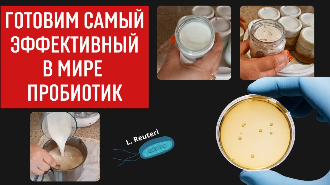 Могущественный пробиотик для запуска омоложения - готовим сами самый полезный йогурт
