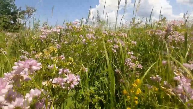 Прогулка "Полезное с приятным"