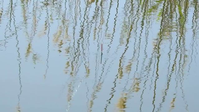 Карась на поплавочную удочку. Поклевки крупным планом