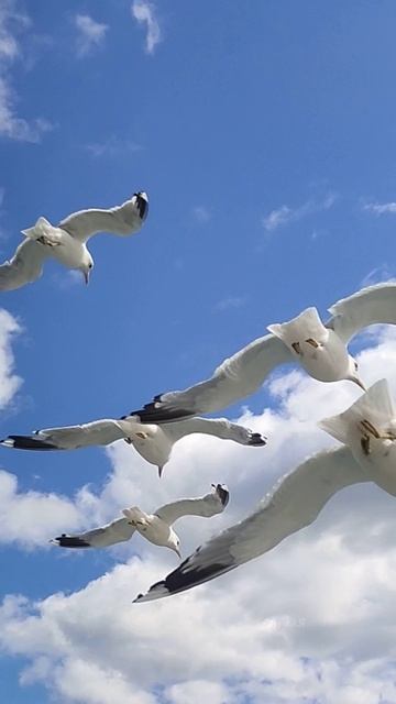 В Крыму штормило и дождило