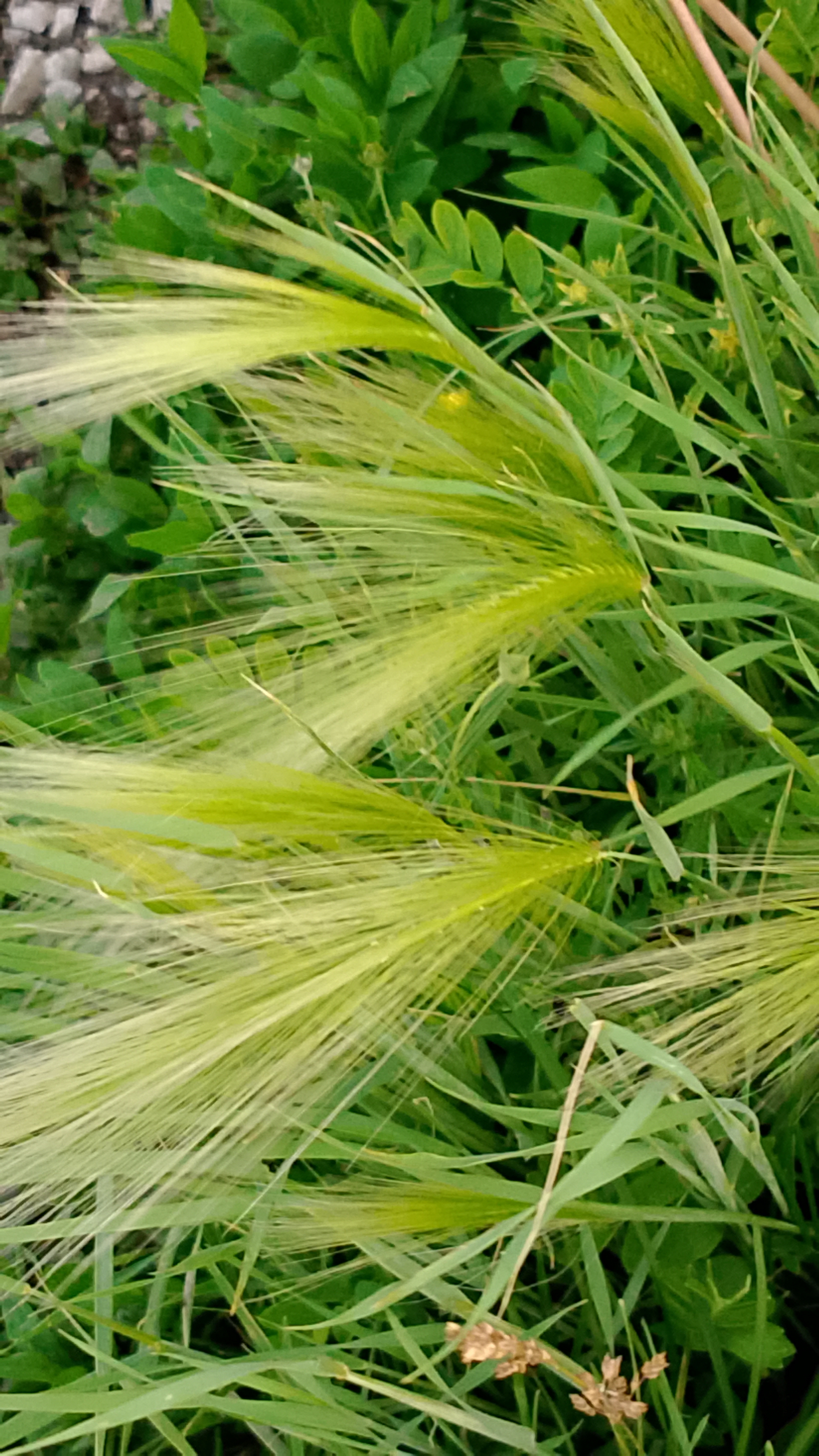 Вечные дороги жизни. Мой город. Природа.