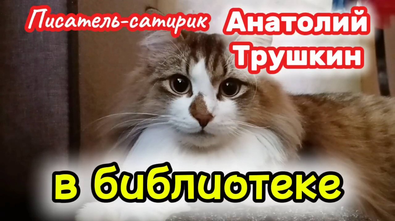 Юмор. АНАТОЛИЙ ТРУШКИН лучшее.