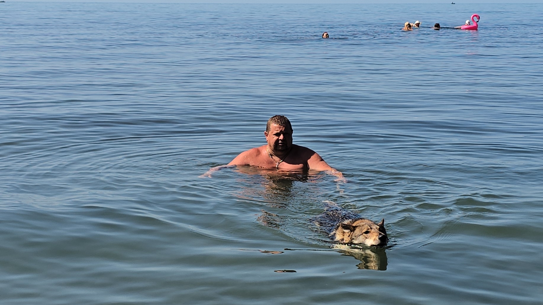 С чёрного моря домой