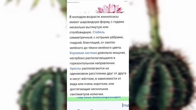 Вместо постскриптума