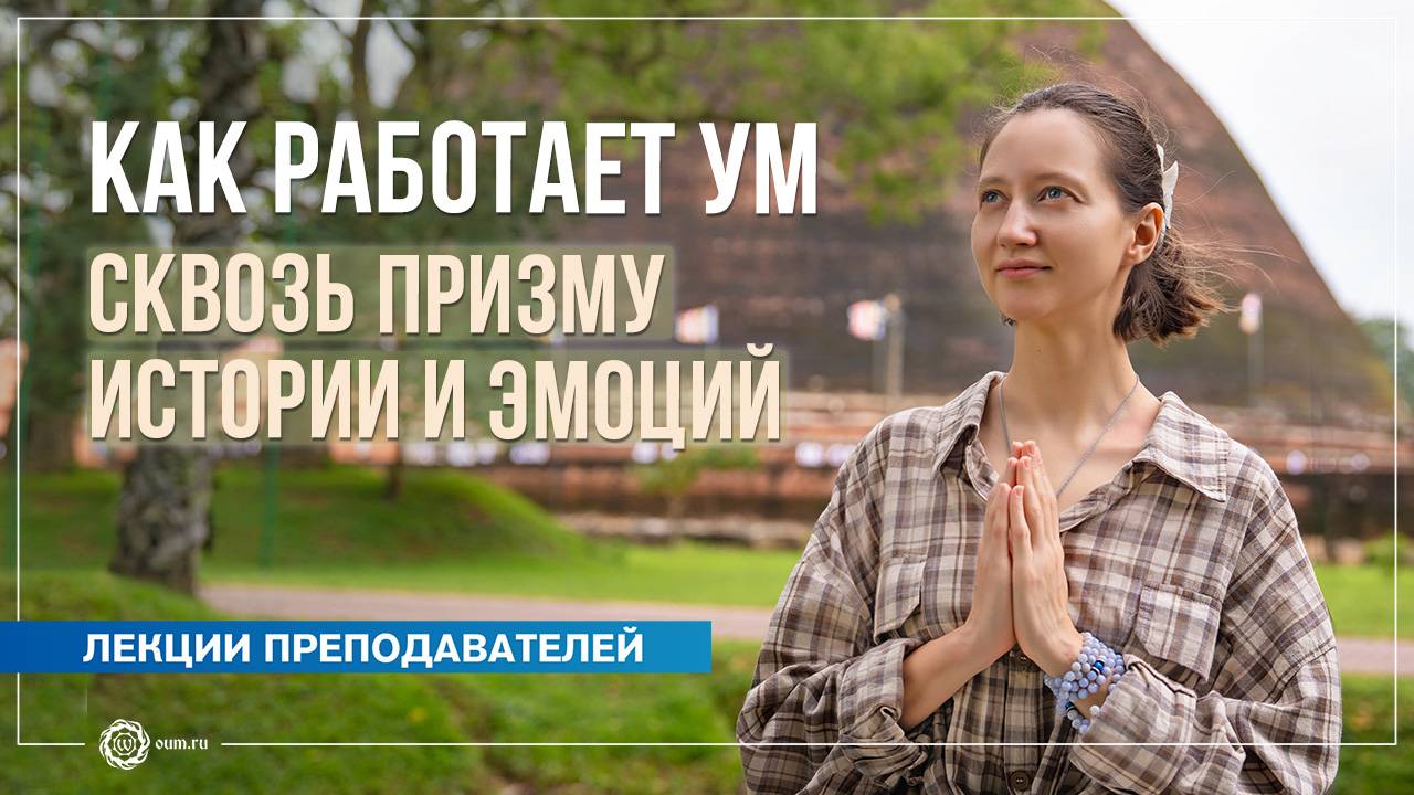 Как работает ум. Сквозь призму истории и эмоций. Александра Штукатурова